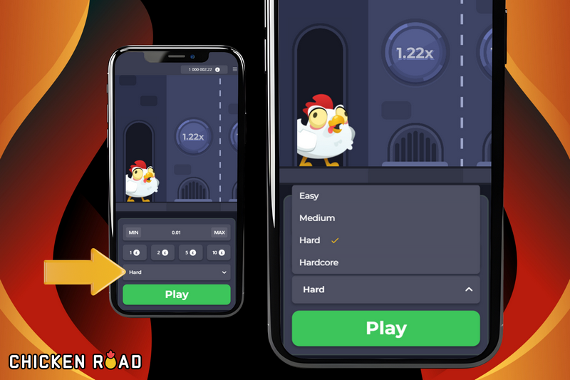 Chicken Road Total Gameplay Overview - Novice to Expert
